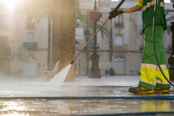 Best House Pressure Washing  in Nashua, IA