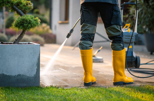 Best Power Washing Near Me  in Nashua, IA